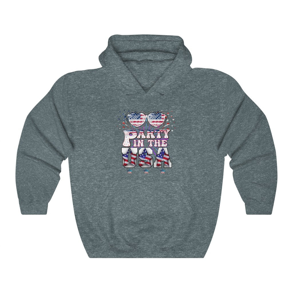 Party In The USA Hooded Sweatshirt